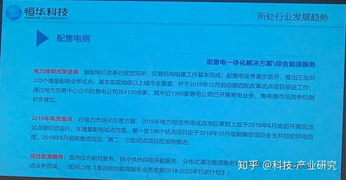 科技觀察 恒華科技2018年報(bào)會(huì)議聚焦電力信息化與信息技術(shù)咨詢服務(wù)